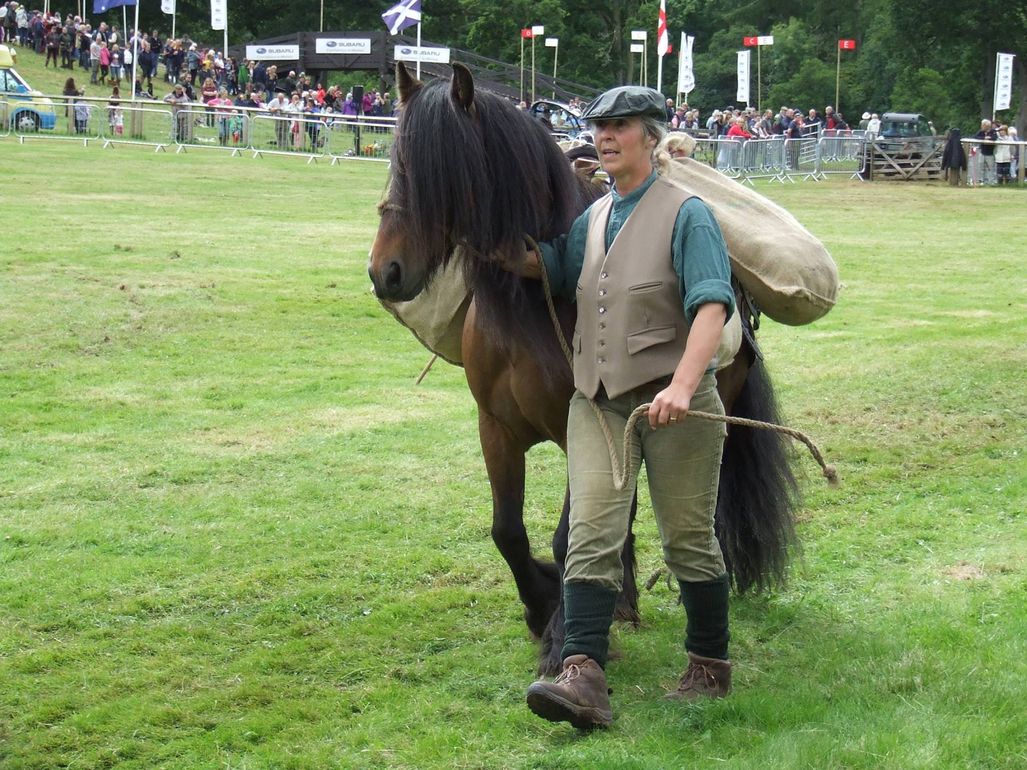 a fell pony carrying sacks