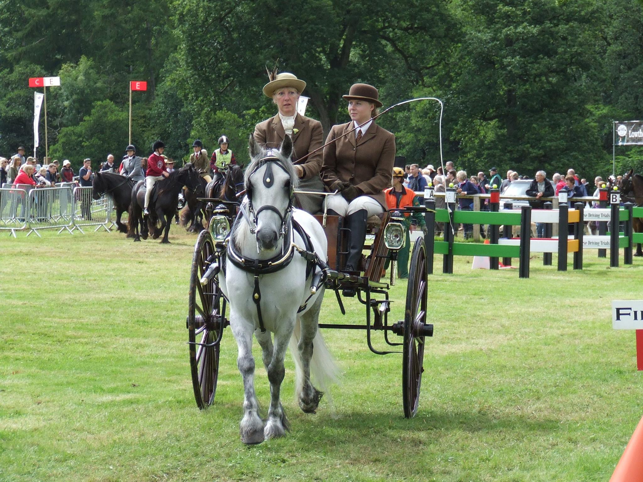 grey pony with a country carriage