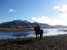 On the Isle of Mull - Fell pony Leonardo and a view of Ben More