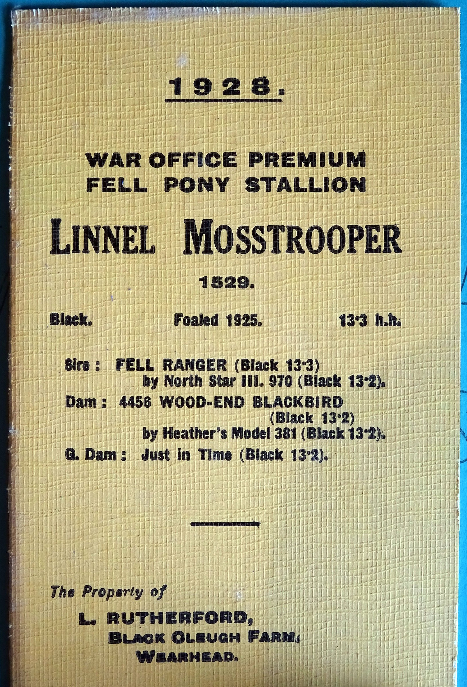 a card from 1928 advertising a stallion