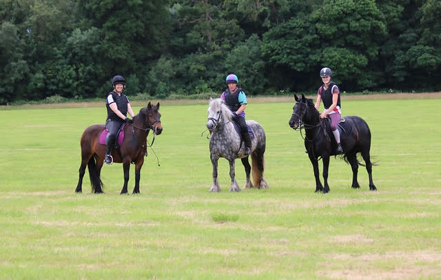 three ponies in a field with riders