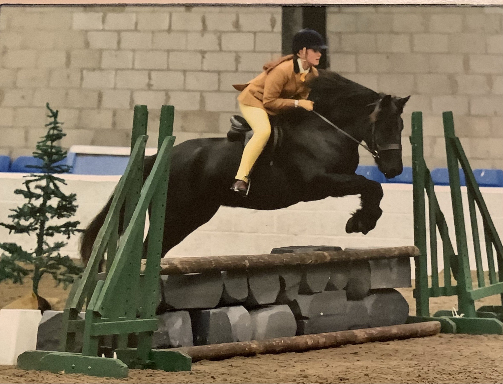 black pony jumping a fence