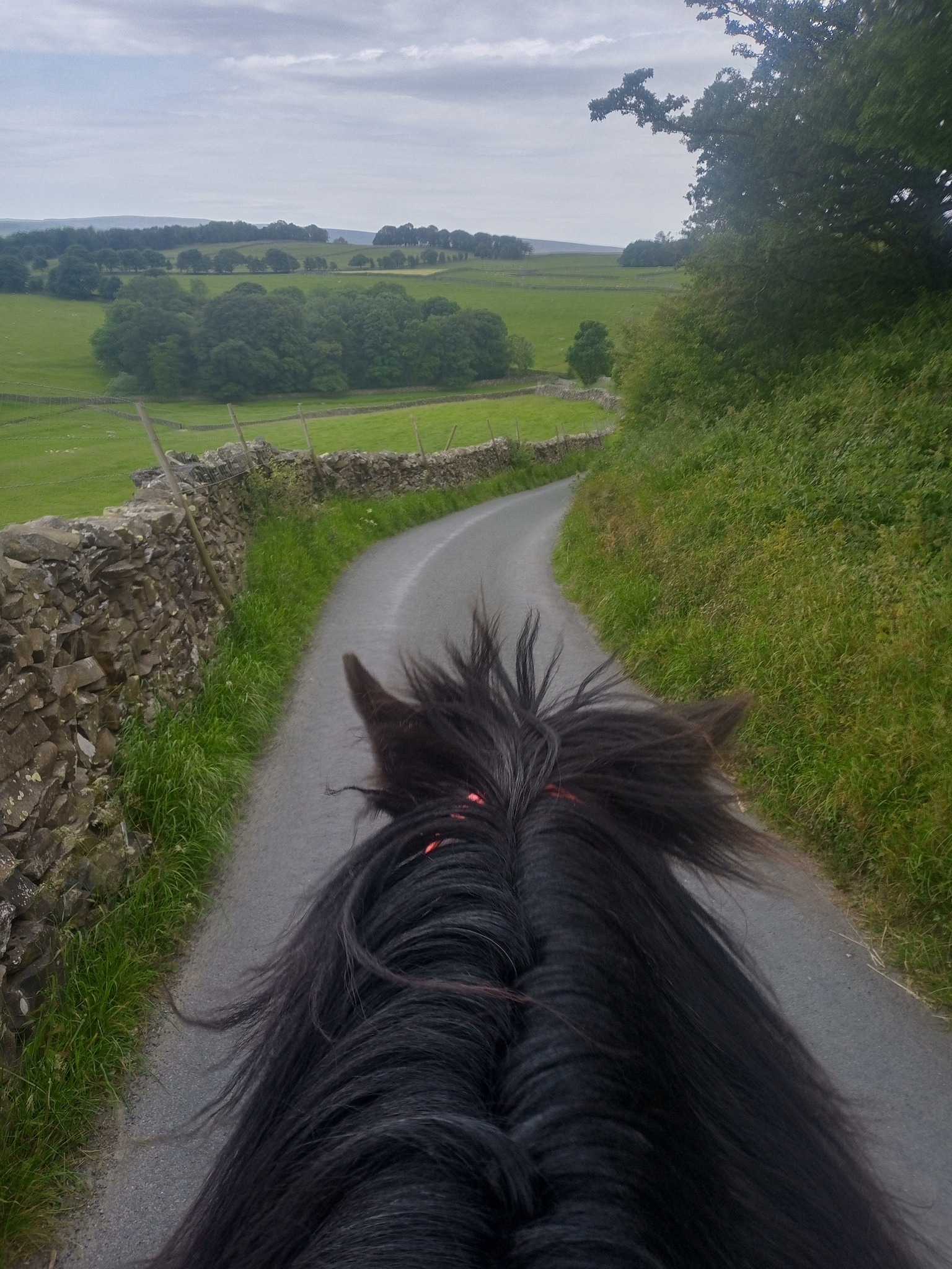pony and road ahead