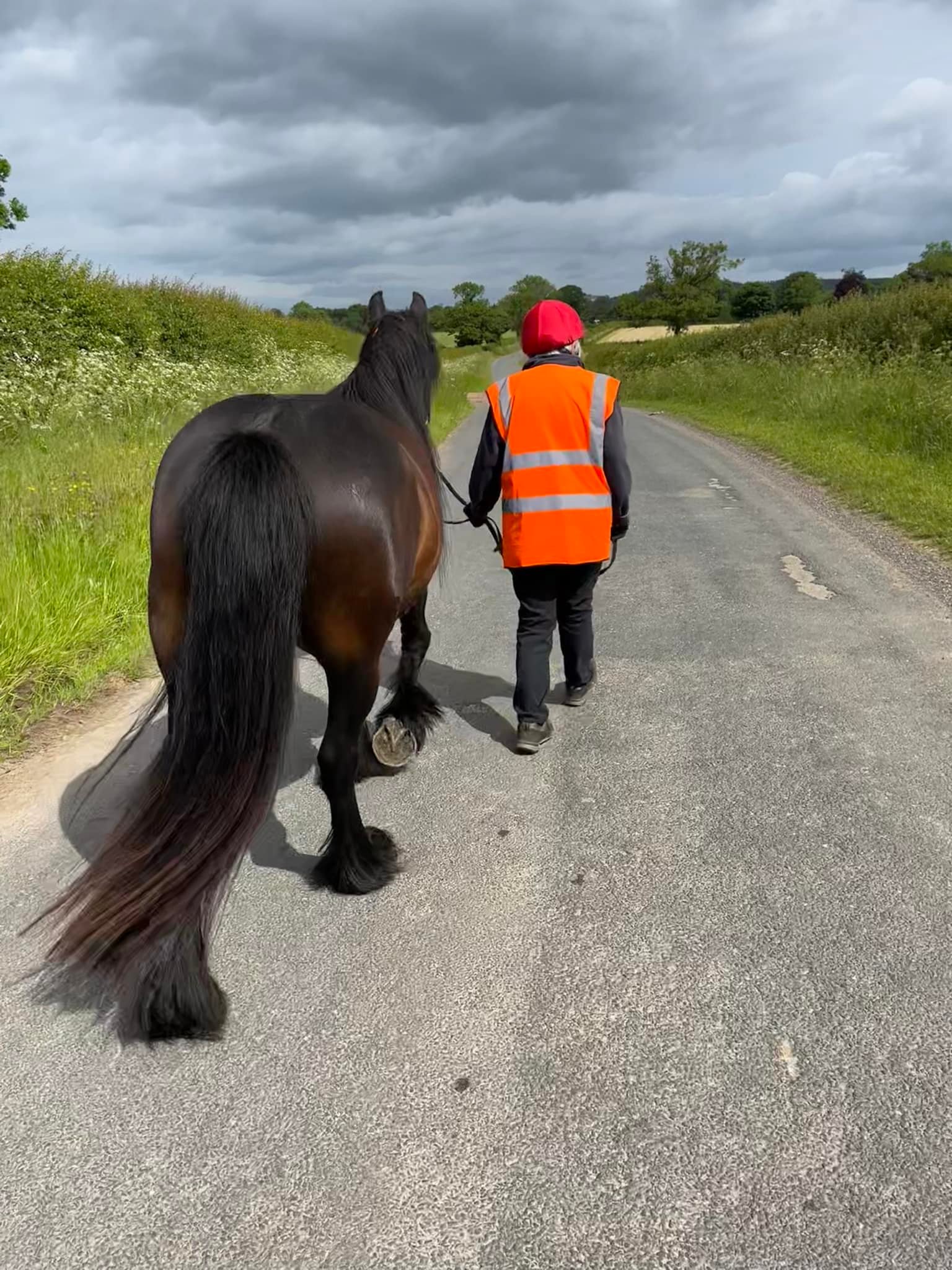 pony and owner walking
