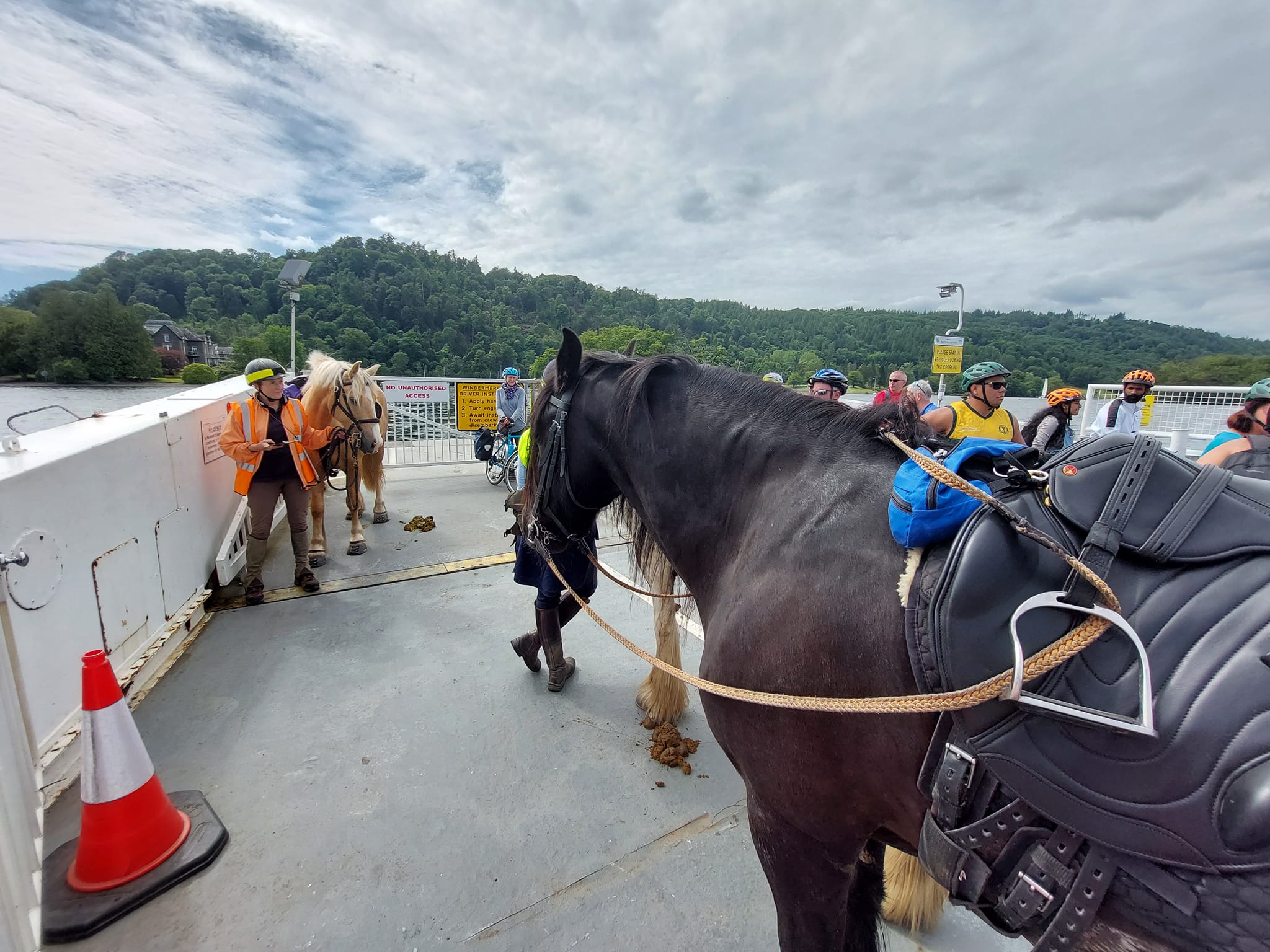 pony on a ferryboat