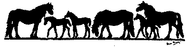 The Fell Pony Society Logo