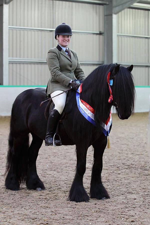 Featured image of post Fell Pony Charakter