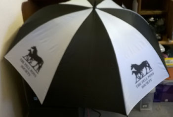 black and white umbrella