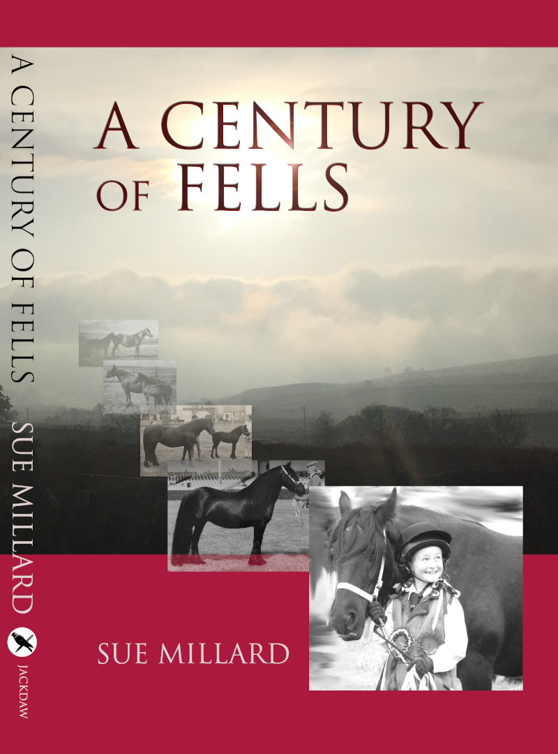 Cover image of book A Century of Fells