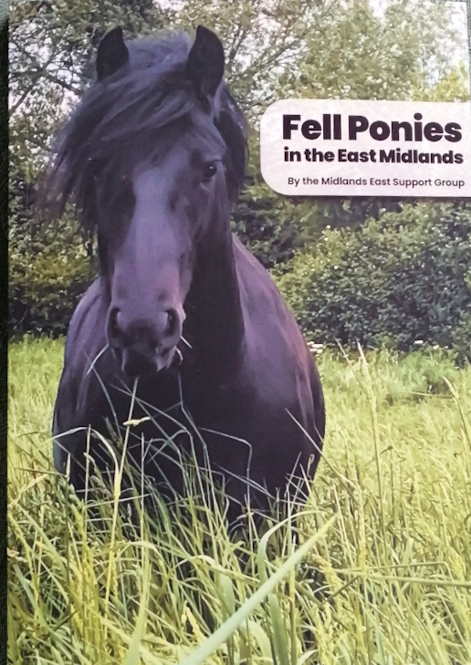 book with photo of a Fell pony on the cover