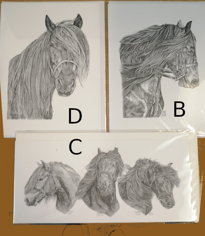 three hand-drawn image of Fell pony heads on cards
