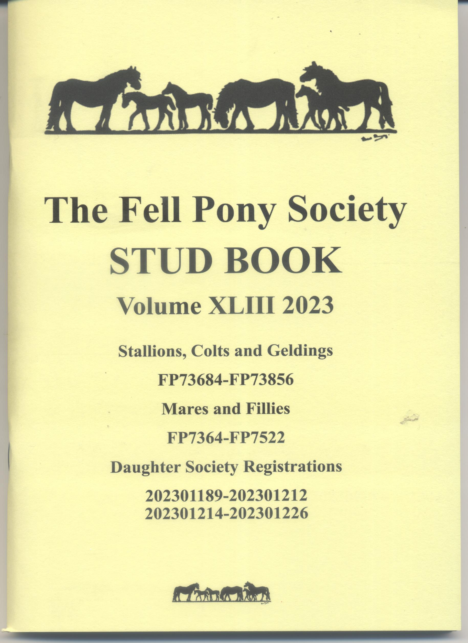 cover of a yellow booklet