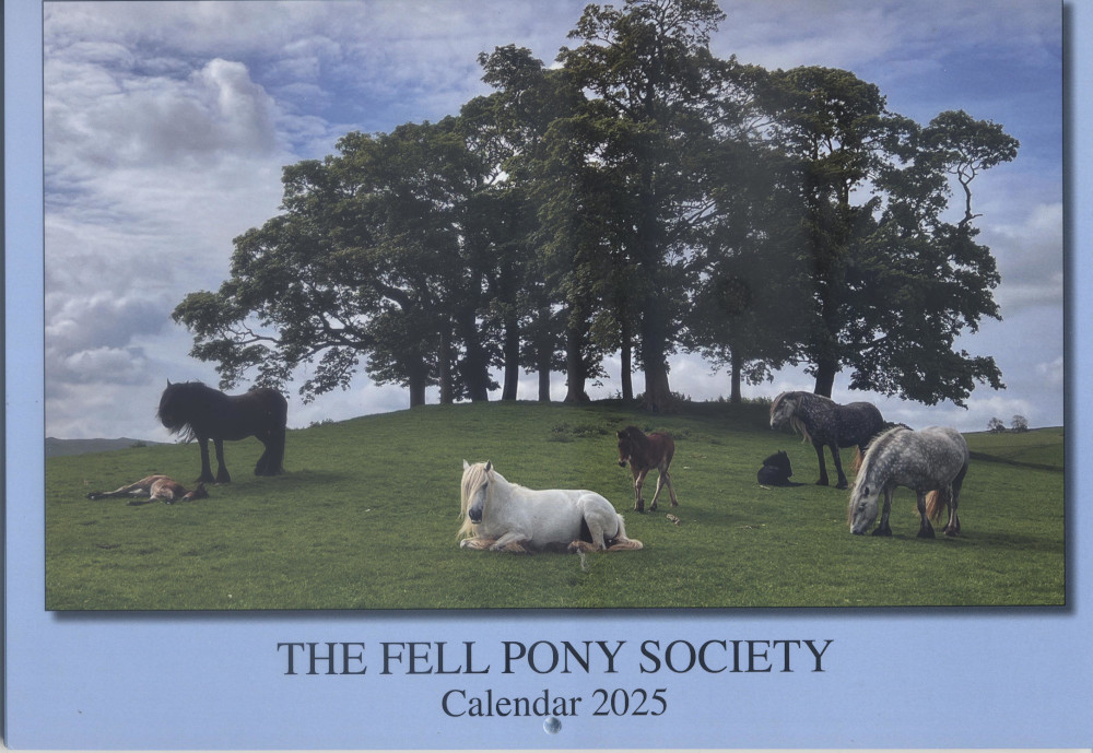 calendar cover showing fell ponies