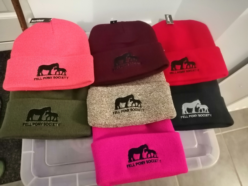 knitted hats with FPS logo