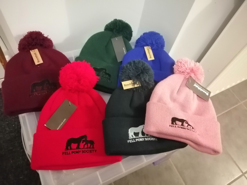 knitted hats with FPS logo and a pompom on top, red,black, navy, pink