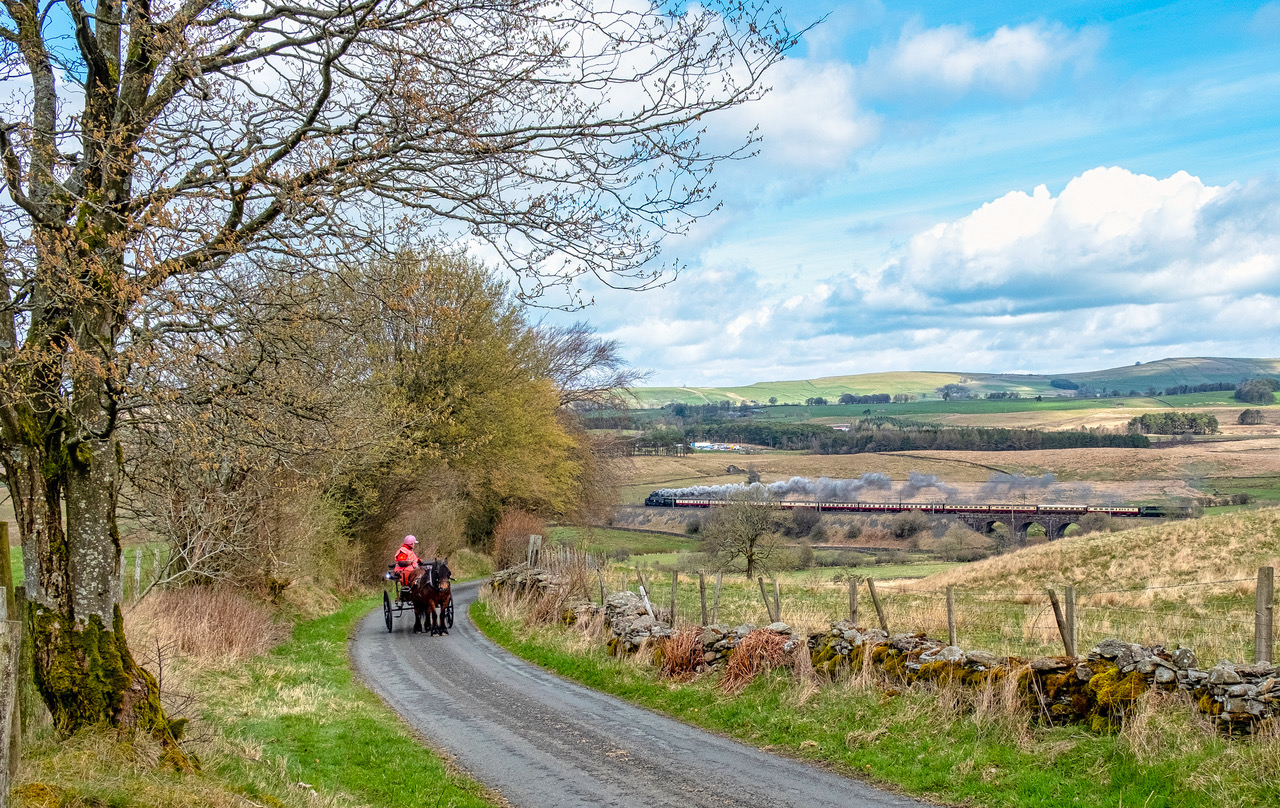 view of steam train and pony and trap