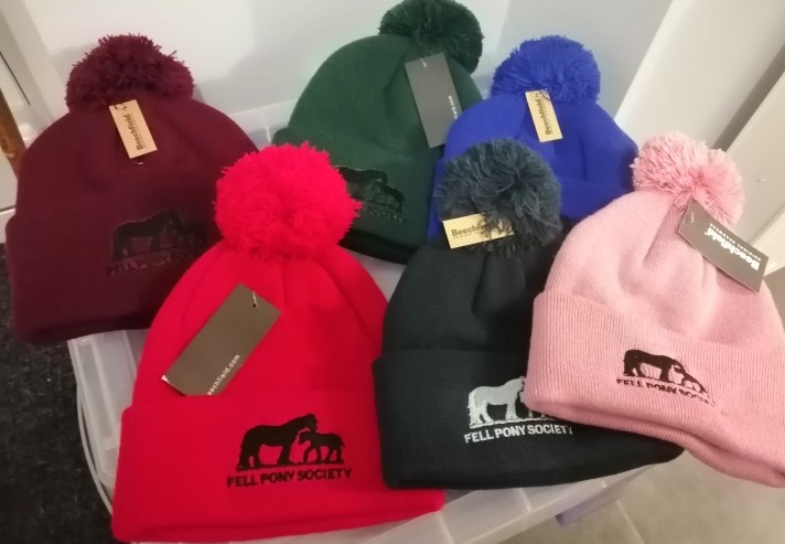 pom pom knitted hats