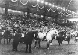 Winners of the Ridden Mountain and Moorland Pony of the Year at Olympia.  [ select to view a larger image ]