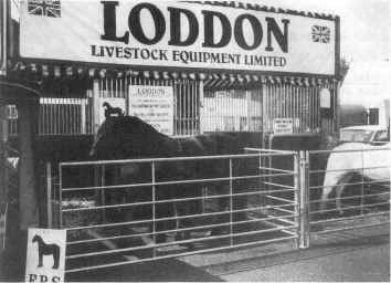 Mary Longsden's mare and foal on the stand. [ select to view a larger image ]