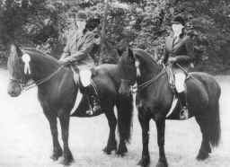 Lownthwaite Rosette (left) ridden by Helen Williamson, winner of the Autumn Performance Trial, and Tarnbeck Maydew ridden by Judith Williamson, Novice Ridden Mare winneer at the 1989 Breed Show. [ select to view a larger image ]