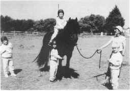 Townend Seamus, (Mouse) S year old gelding, turning his hoof to RDA. [ select to view a larger image ]