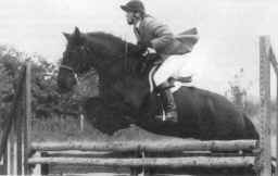 LOWMOAT BLOSSOM, 5 year old mare.  Ridden by Susan Ravenshear.   [Select to view a larger image]