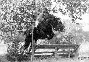 Bolton Abbey Black Bess