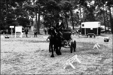 Heltondale Bracken V.  Huettenbusch winning the dressage August 1999