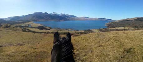 ears on the isle of mull