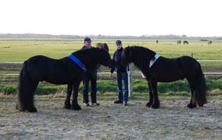 Sleddale Eddie L and his son Odin van het Westerkwartier