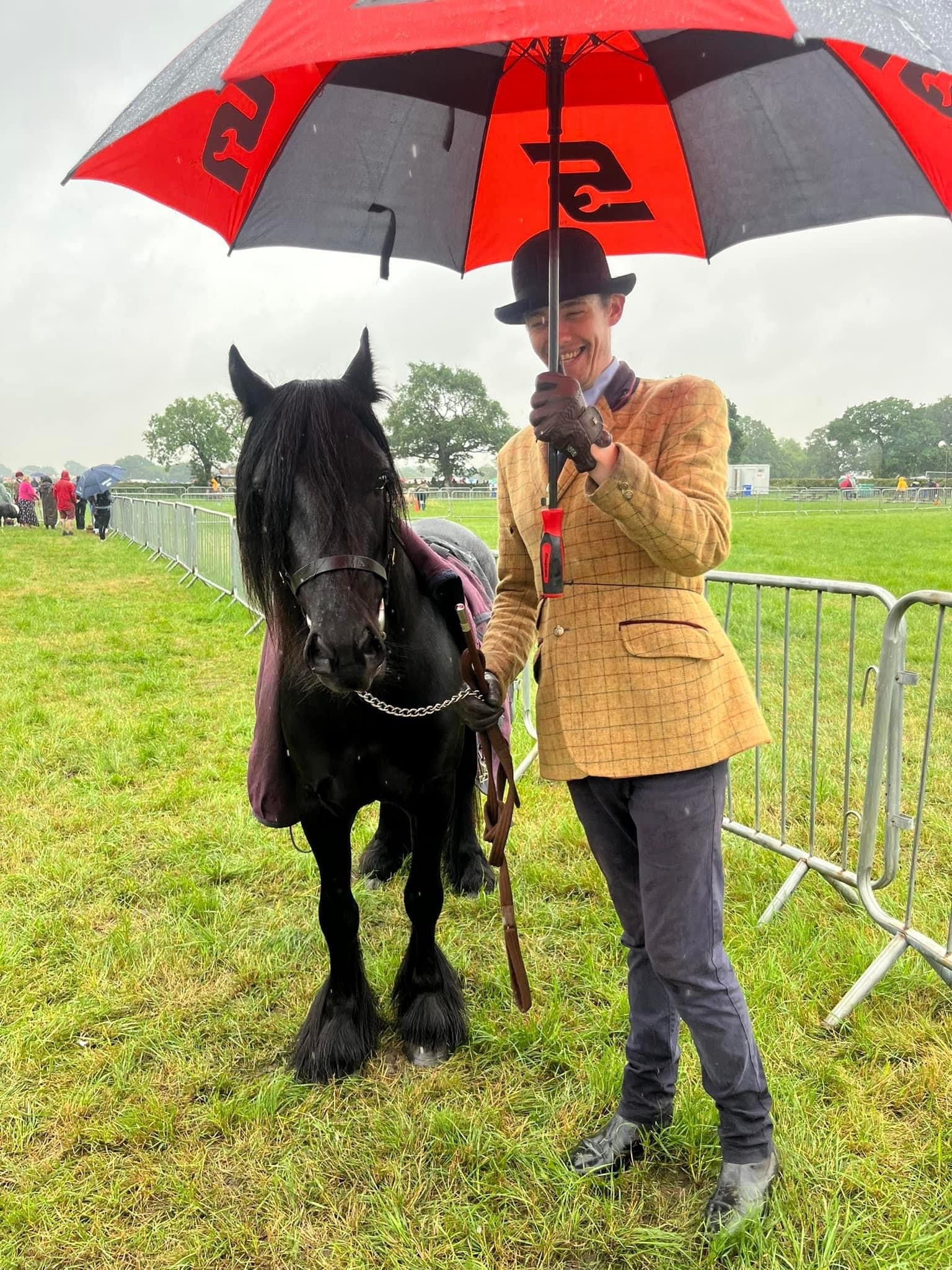 black colt with handler standing under a black-and-red umbrella