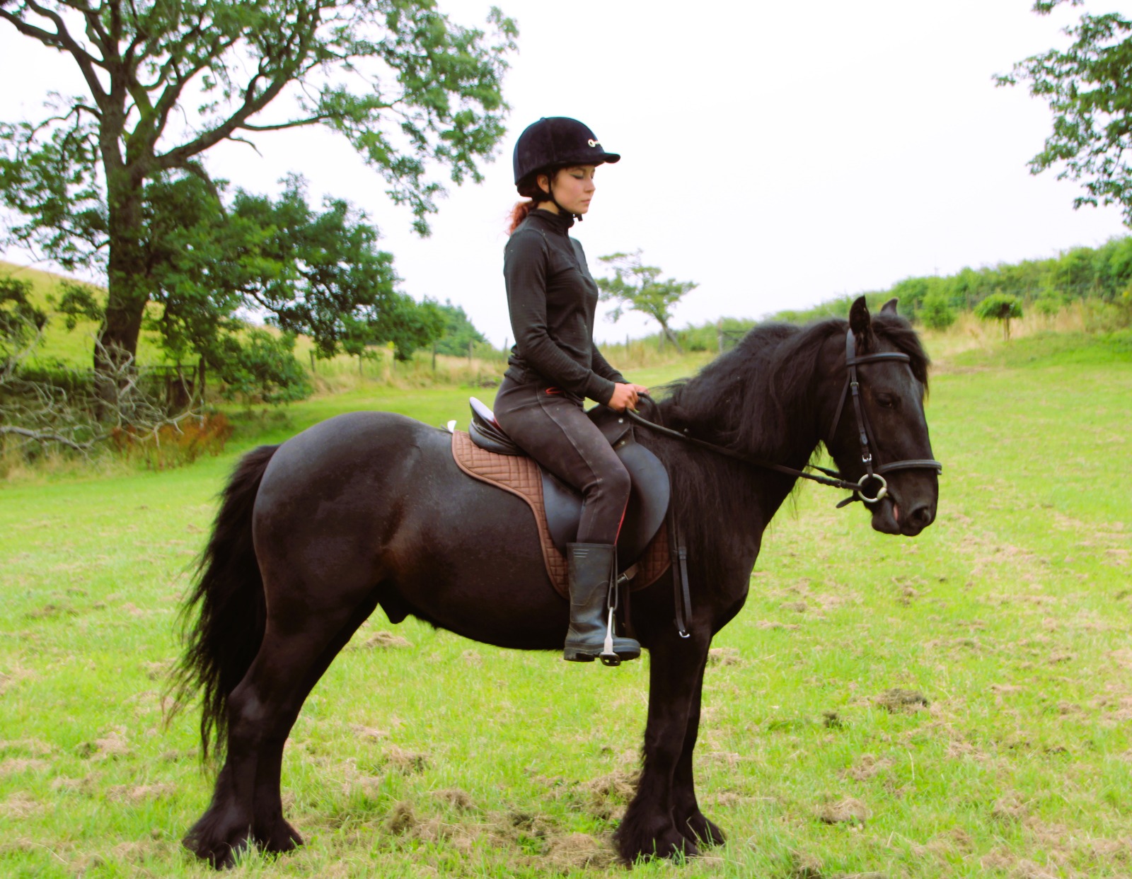 black pony with a rider, facing right