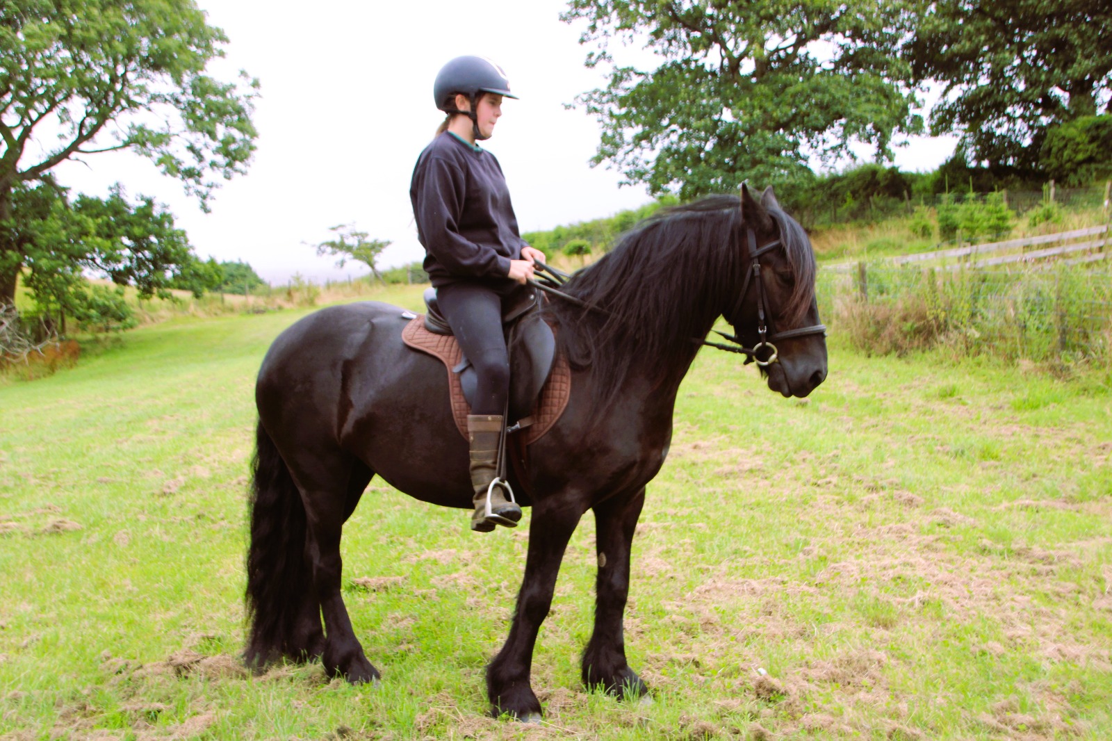black pony with a rider, facing right