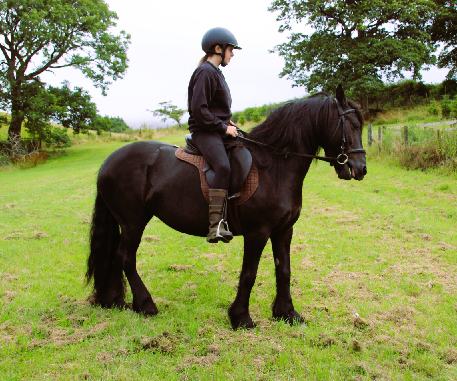 Black pony with a rider