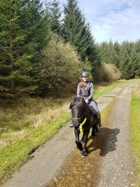 black pony with a rider on a country lane