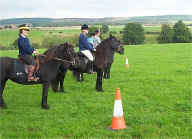 20080913.TrottingRace.Heat2.StartLine.jpg (136332 bytes)