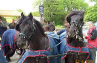 20020622b.2DalesBack2FellsFrontCharityDriveRibblesdale.jpg (192060 bytes)