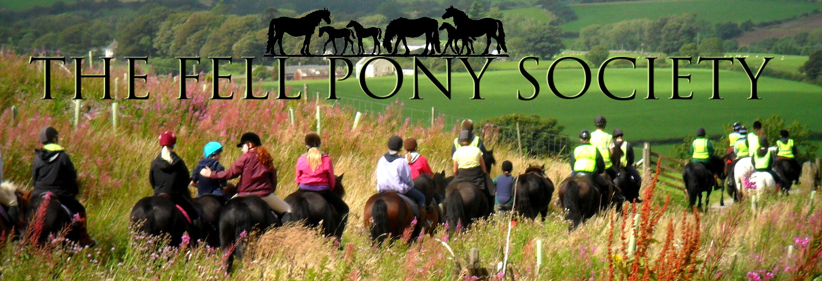 Fell Pony Society logo and images of ponies