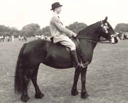 Bob Charlton atop Linnel Flighty, 1955. [select to view a larger image]