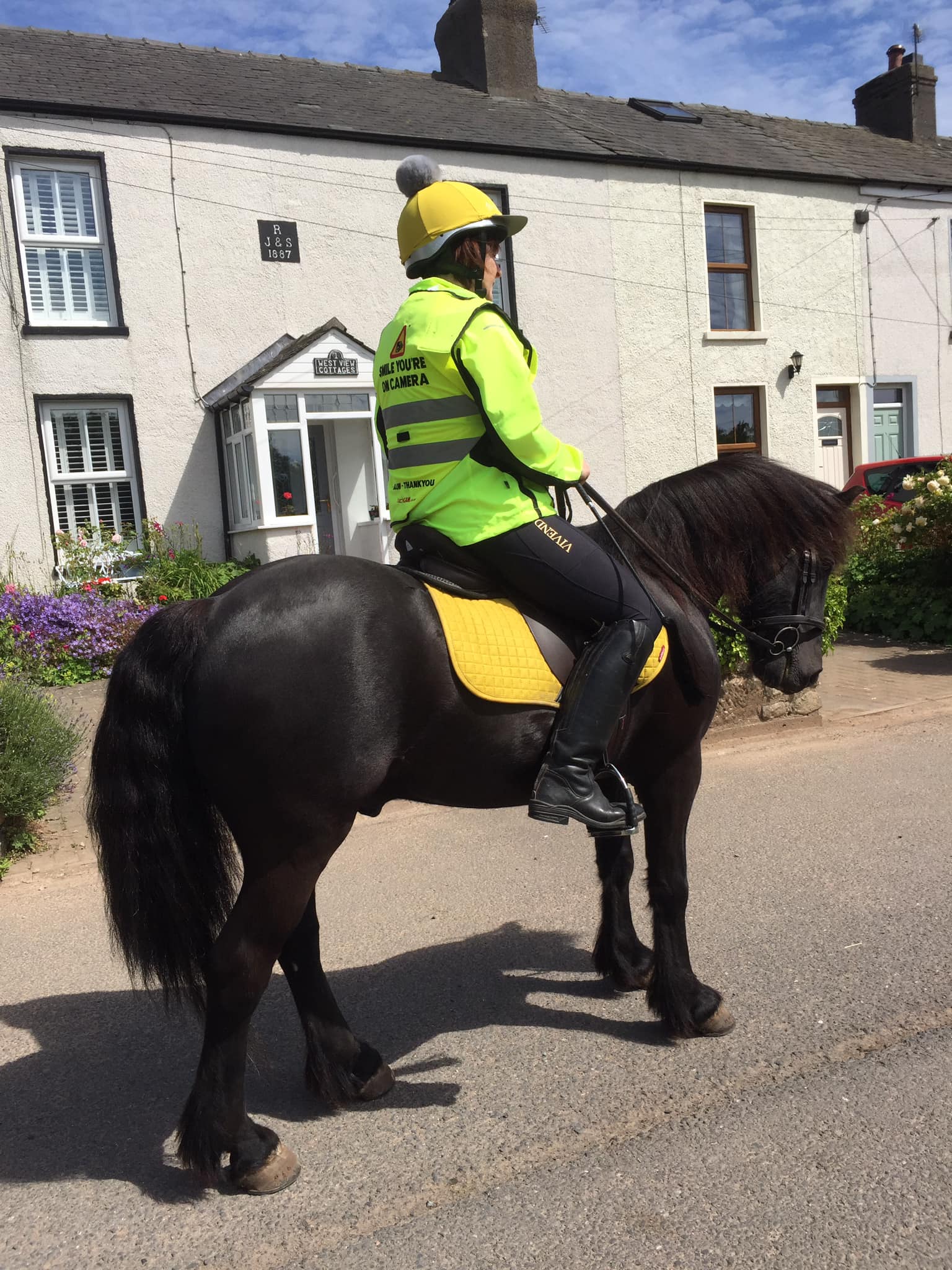 pony and rider in front of a house