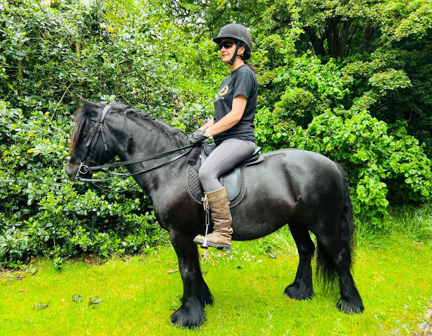 pony and rider by a hedge