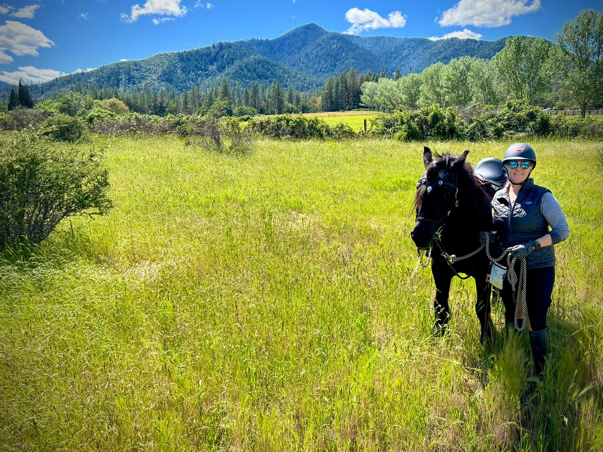 fell pony, owner and mountains