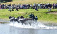 Prince Philip's Fell pony team