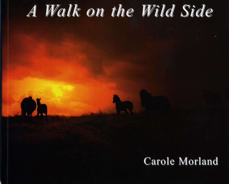 book jacket image of A Walk On The Wild Side 